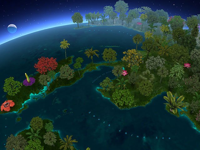 The Plant World