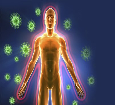 The Human Body